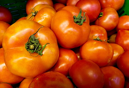 Red Tomatoes thumbnail