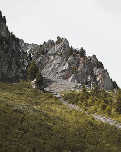gray mountain surrounded of trees thumbnail