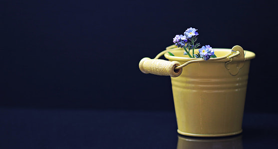purple forget-me-not flowers in yellow meytal bucket thumbnail