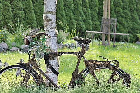 black road bicycle beside tree trunk thumbnail
