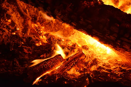 lighted firewood close-up photo thumbnail