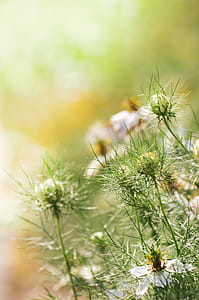 Shallow Focus Photography of Green Pant thumbnail