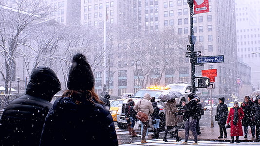 people walking on pedestrian thumbnail