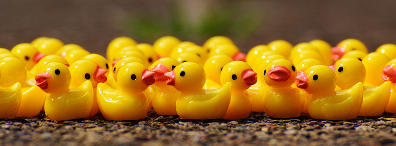 mini plastic figure of ducks thumbnail