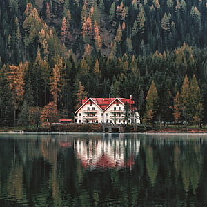 white and red house in front of green pine trees thumbnail