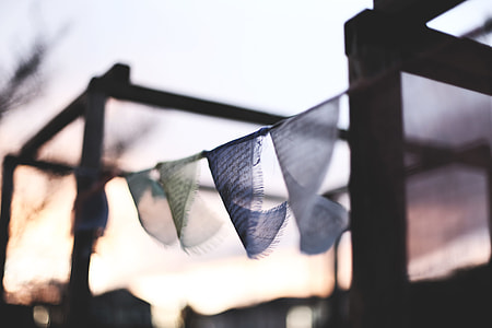 selective focus photography of hanged textiles thumbnail