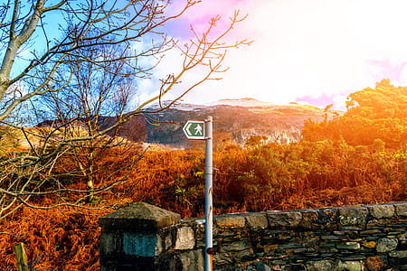 Black and Green Traffic Signage Near Grey Concrete Wall and Brown Trees thumbnail