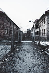 empty pathway between barbwire fence thumbnail