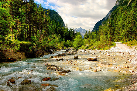 body of water surrounded by pine trees during daytime thumbnail