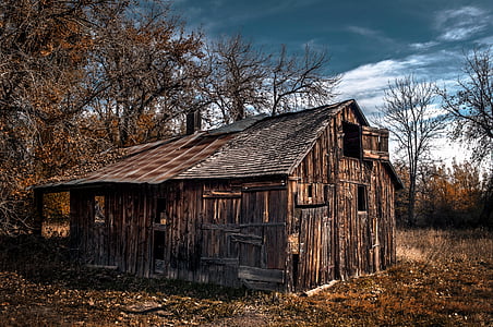 brown wooden house surrounded by trees thumbnail