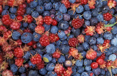 photo of blue berry lot thumbnail