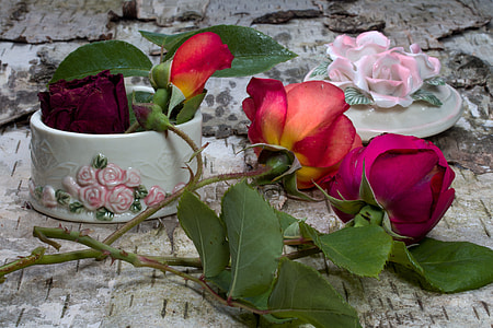 magenta and red petaled flowers on top of white board thumbnail