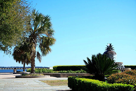 Seaside park in Charleston, South Carolina thumbnail