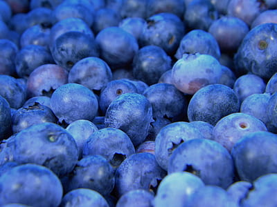round purple fruits thumbnail