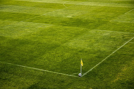 White and Black Soccer Ball on Side of Green Grass Field during Daytime thumbnail