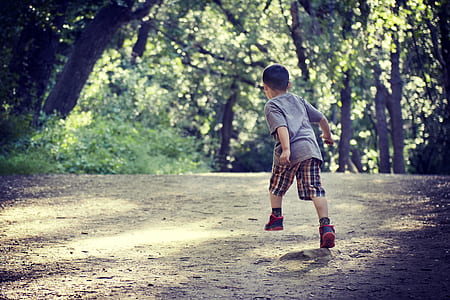 boy running towards green tree thumbnail