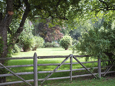 gray wooden fence and green leaf tree thumbnail