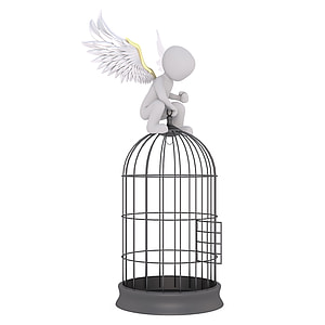 black and white metal birdcage with angel decor closeup photo thumbnail