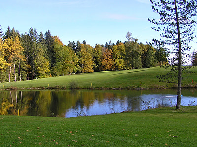green lawn field near body of water during daytime thumbnail