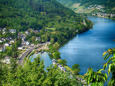 houses beside body of water thumbnail