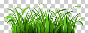 Blog , Grass Patch , green grass illustration PNG clipart