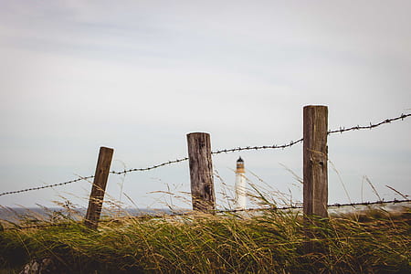 brown wooden fence under white sky during daytime thumbnail