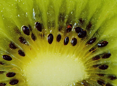 close-up photo of kiwi fruit seeds thumbnail