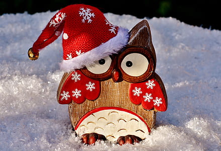 Christmas-themed owl decor thumbnail