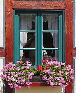 purple petaled flowers near blue framed glass windows during daytime thumbnail