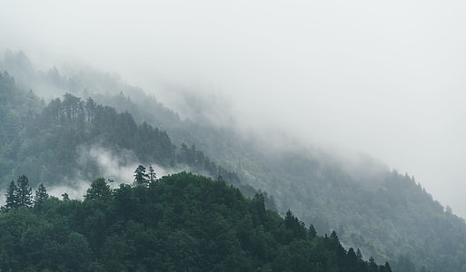 landscape photography of mountain summits with fogs thumbnail