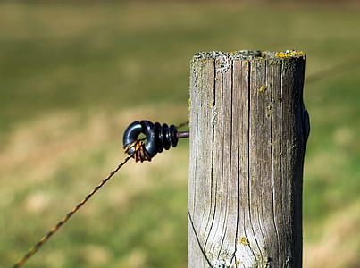 close-up photography of brown wooden post thumbnail