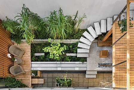 bird's eye view photo house garden thumbnail
