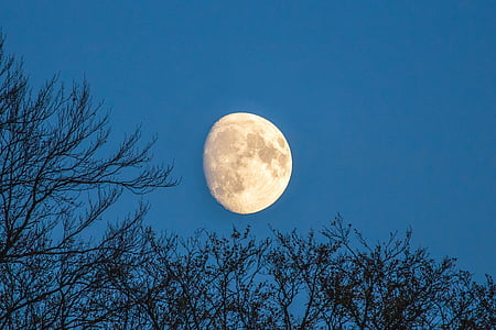 photography of moon during night time thumbnail
