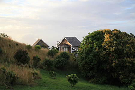 brown wooden residential mouse near trees under blue sky during daytime thumbnail