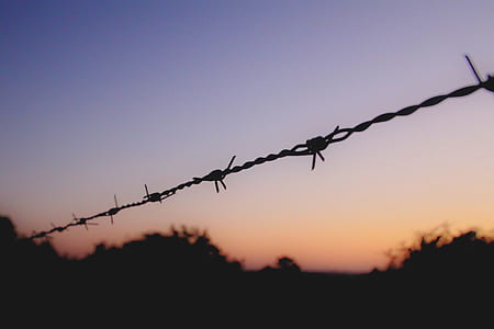 silhouette of black barb wire thumbnail