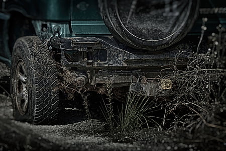 green vehicle beside plant thumbnail