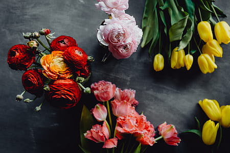 Colorful flowers on grey background with copy space thumbnail