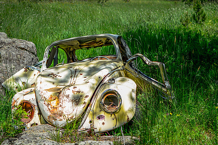 wrecked yellow Volkswagen Beetle surrounded by grass thumbnail