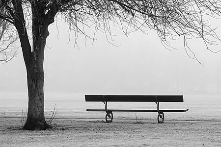 grayscale photo of empty bench near tree thumbnail