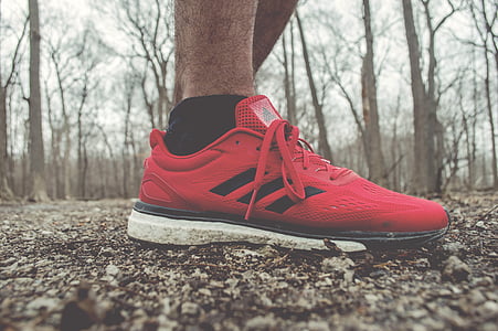 person in red adidas low-top sneaker thumbnail