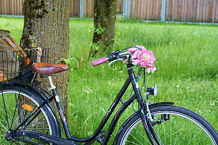 black step-through bike thumbnail
