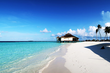 brown wooden hut above body of water thumbnail