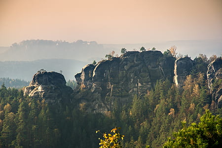 green leafed trees near mountain thumbnail