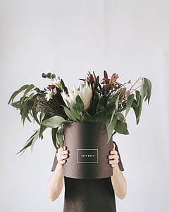 Person in Black T-shirt Holding Potted Flowers thumbnail