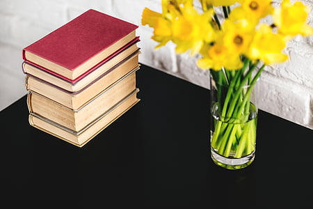 filed books beside vase thumbnail