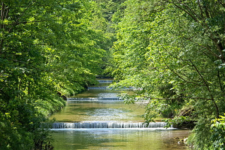 time lapse photography of river between trees thumbnail