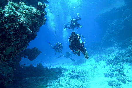 Underwater Diving thumbnail