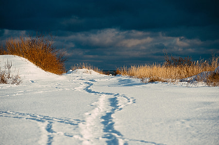 Winter path to sea thumbnail