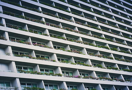 white high-rise concrete building thumbnail