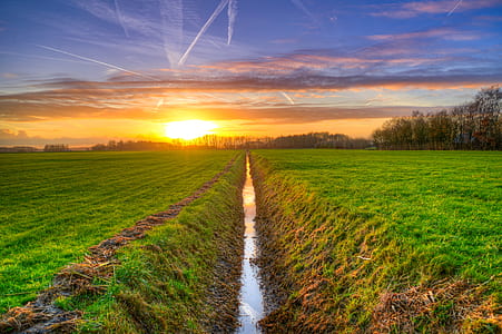 green grass field under orange sunset thumbnail